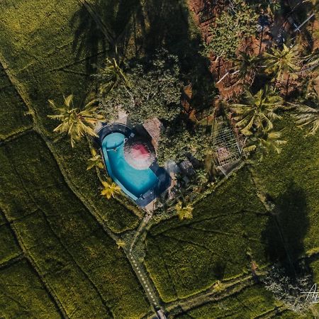Nelu Resort Сігірія Екстер'єр фото