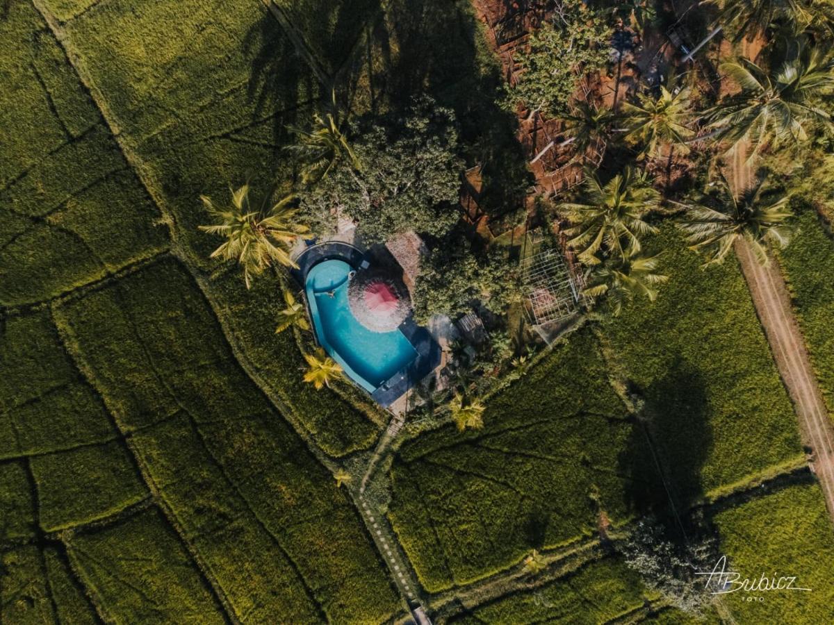 Nelu Resort Сігірія Екстер'єр фото